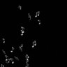 wizz007 profil fotoğrafı