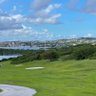 Фото профиля Cat Daddy