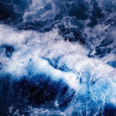 izote_nt's profile picture