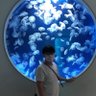 楊博任 profil fotoğrafı