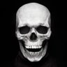 The Death profil fotoğrafı