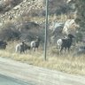 ColoradoOutdoorsDude profil fotoğrafı