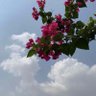 غ ـيمـة ☁مـط ـر 的头像