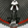 Web Warrior's profile picture