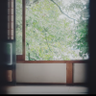 頭爆炸 profil fotoğrafı