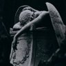 Фото профиля CCarlos