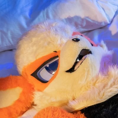 RK9's profile picture