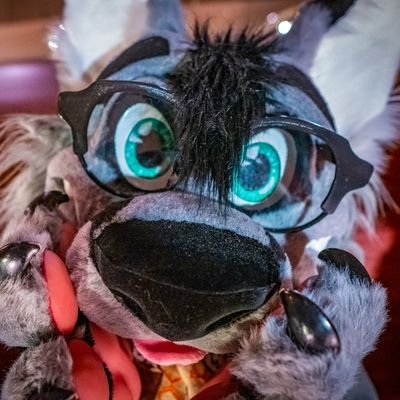 Winter_Snowfox's profile picture