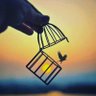 Almas Haider's profile picture