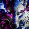 Crypto Wolf profil fotoğrafı
