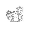 Squirrel 的头像