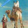 هاف مون profil fotoğrafı