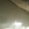 بسام الحارثي عدن's profile picture