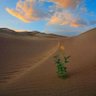 Фото профиля الباجلي عاشق بصدق