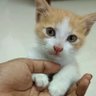 Pirashanth profil fotoğrafı