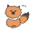 💍🌗モマ🦊's profile picture