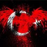 Profilbild von Can AYYILDIZ