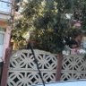 SALİH ADALETOĞLU's profile picture