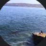 Kosu's profile picture