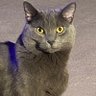 vicki davis profil fotoğrafı