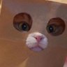 DAN's profile picture