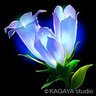 夢幻 profil fotoğrafı