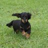Profilbild von John