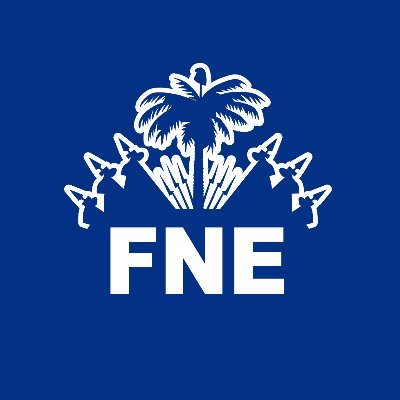 FNEHaiti's profile picture