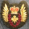 Profilbild von 🇨🇦Tri-Service Vet