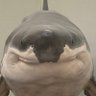 Profilbild von ferrifying fark