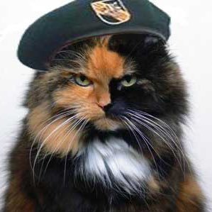 Jagdchiha's profile picture