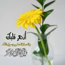ام بتول 的头像