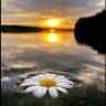 ruhsuz_sağlıkçı profil fotoğrafı