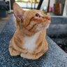 ไม่ใช่เด็ก แก่แล้ว 40+ profil fotoğrafı