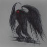 Фото профиля The Mad Moth