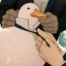 Um Pato Qualquer 🦆🍷 profil fotoğrafı