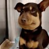Simon profil fotoğrafı