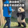何艺's profile picture