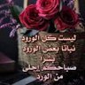 Profilbild von Mohamed