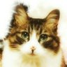 Profilbild von 小川ぴーち
