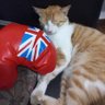 Anderson 💢's profile picture