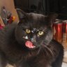 まれぞう profil fotoğrafı