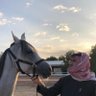 محب الخيل 的头像