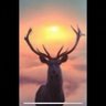 I AM CANADIAN 🦌🍁 的头像
