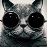 Profilbild von qwertyuiop12