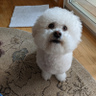 D S (DW)'s profile picture