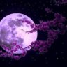 Фото профиля Purple Moon