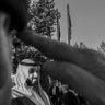 سلفدور🥈's profile picture
