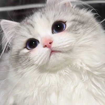 25岁性感继母's profile picture
