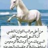 ليث البراري's profile picture